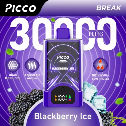 PICCO BREAK 30000 - Blackberry Ice