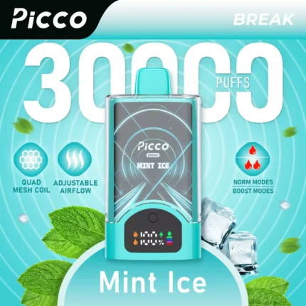 PICCO BREAK 30000 - Mint Ice