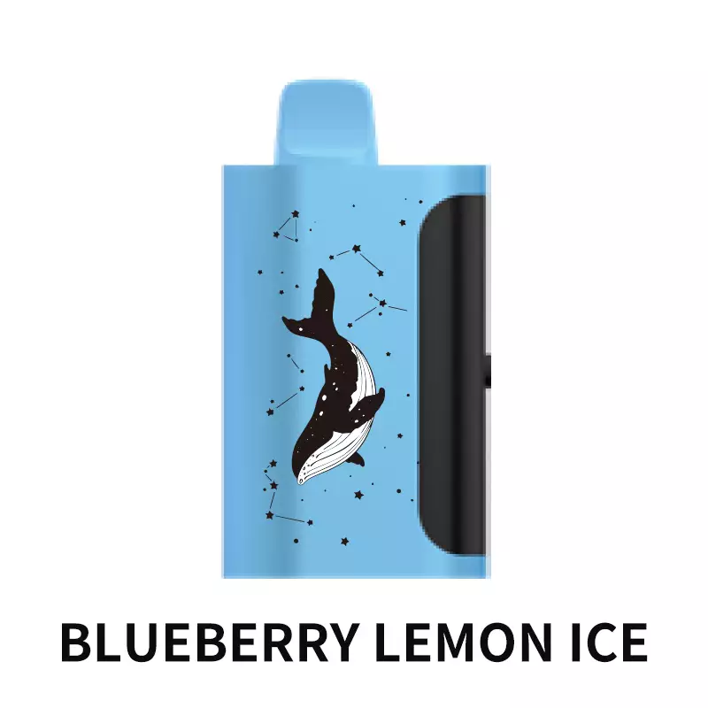 Blueberry Lemon Ice